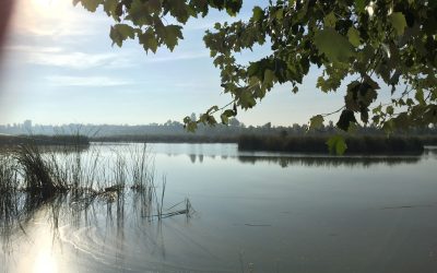 Ivars / l’Espluga del Francolí / Poblet / Pantà Siurana