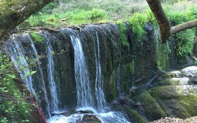 LA FAGEDA – VOLCA CROSTCAT – SALT DE CAN BATLLE – STA PAU – VOLCA MONTSACOPA (OLOT)