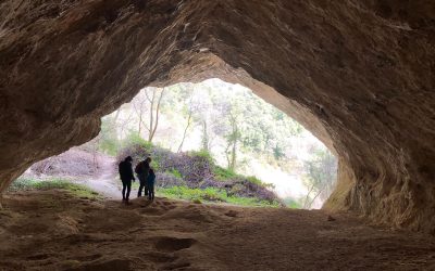 Berga (Cova de Can Mauri)