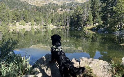 Martinet (Ruta de la Llúdriga) – Refugi Cap del Reg (Camí Vell) – Estany de l’Orri