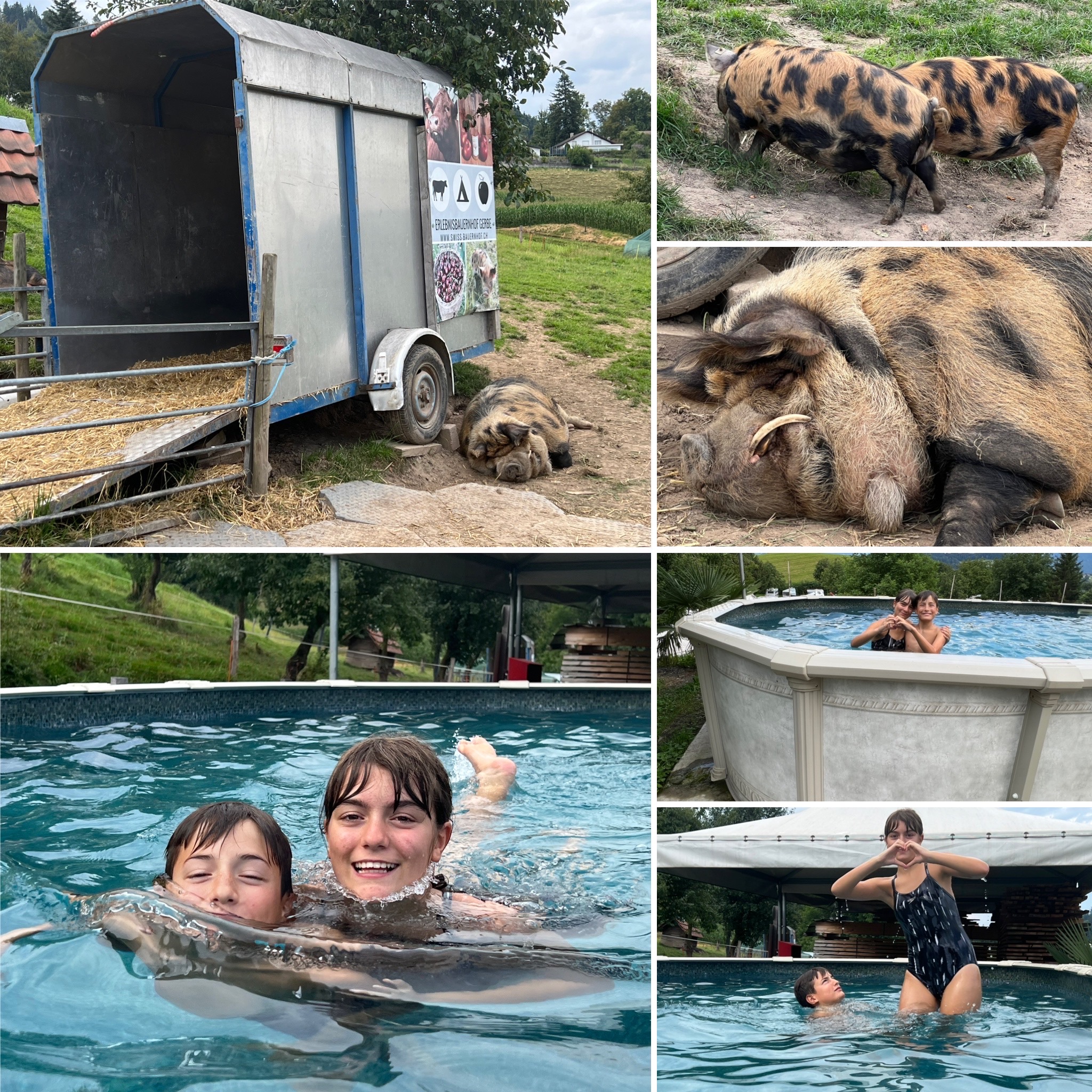 Suïssa 2023 en autocaravana - Camping Gerbe Animals