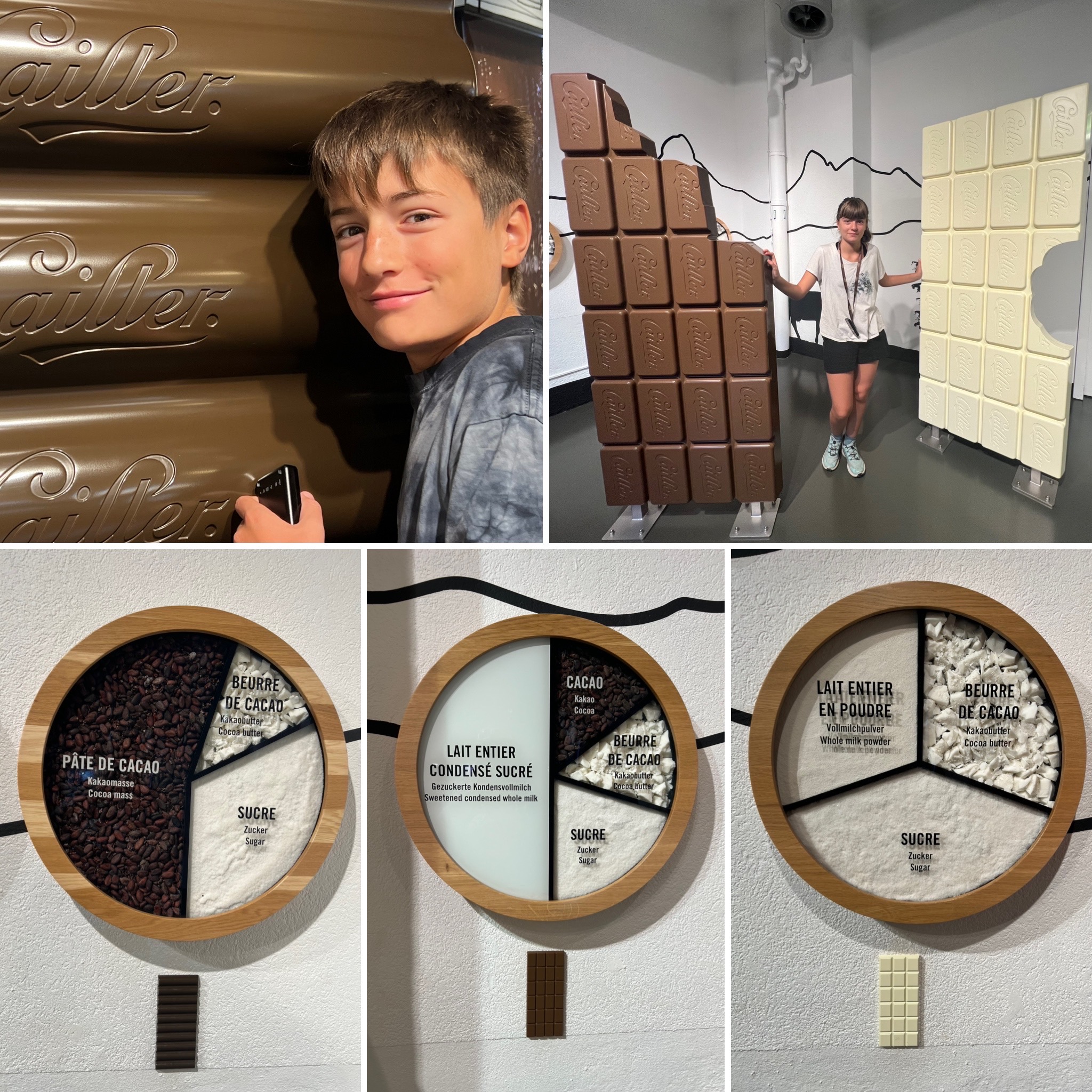 Autoenfamilia - Museu Maison Cailler Nestlé - Composició dels 3 tipus xocolata