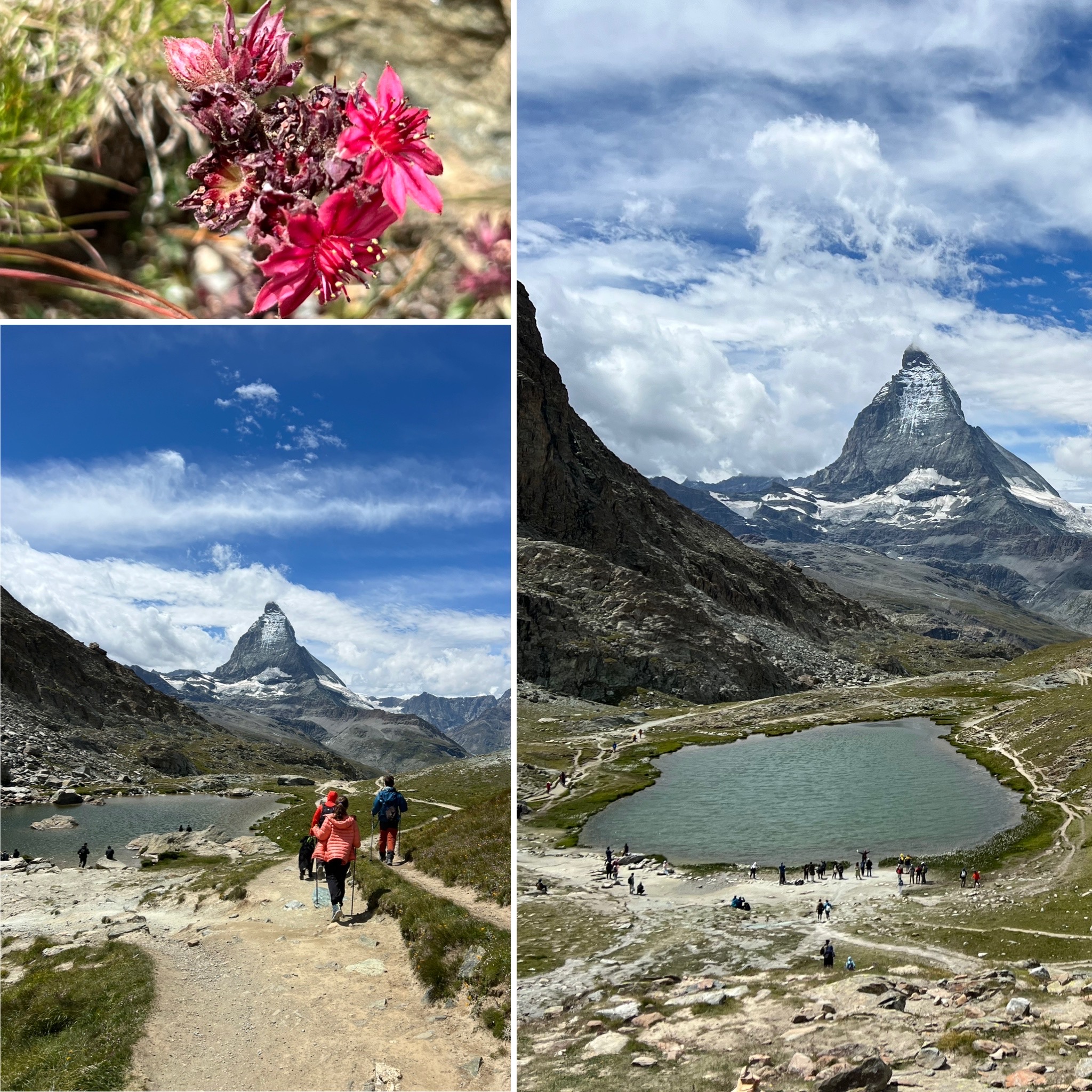 Autoenfamilia detalls vistes Matterhorn o Monte Cervino