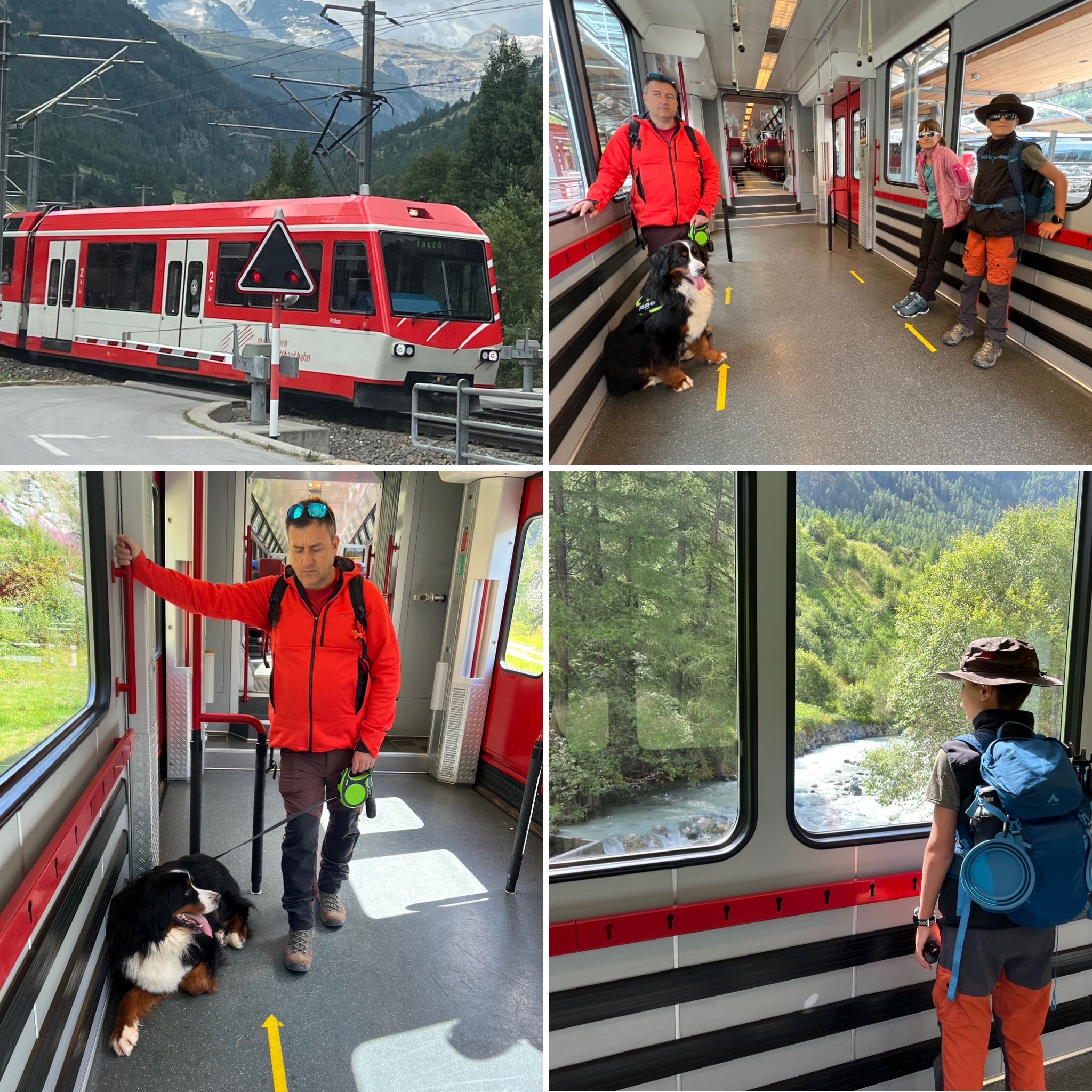 Autoenfamilia Tren Zermatt