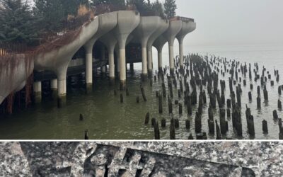 Dia 4 – NY Dilluns 29/12/25