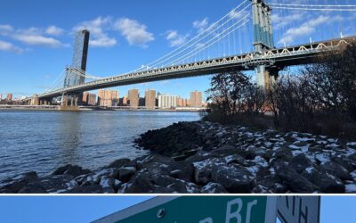 Dia 7 – NY Dijous 01/01/26