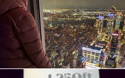 Dia 8 – NY Divendres 02/01/26